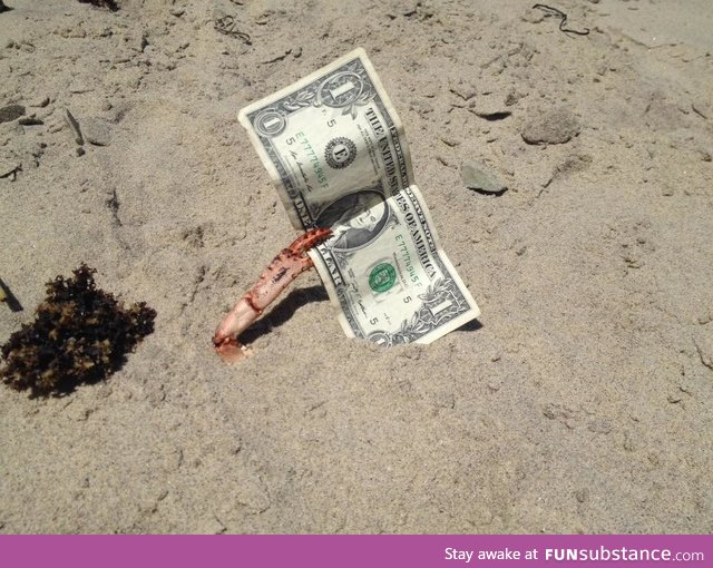 Found Mr Krabs