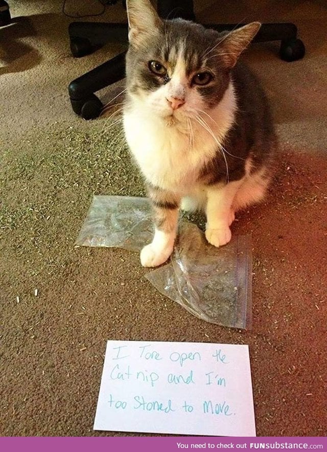 I've been there kitty, I've been there
