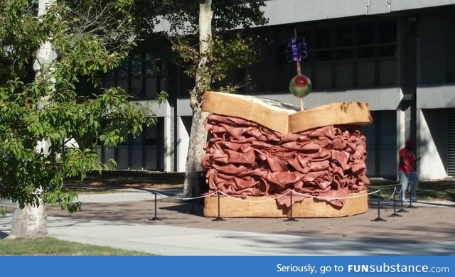 For some reason my campus bought a really big sandwich