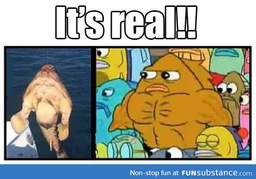 I knew Sponge Bob wouldn't lie to me