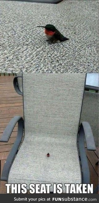 This Seat Is Taken