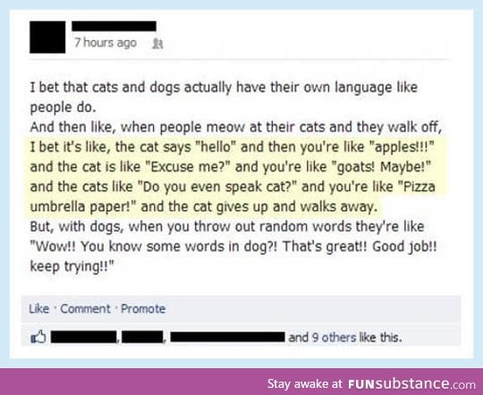 Do you even speak cat, human?