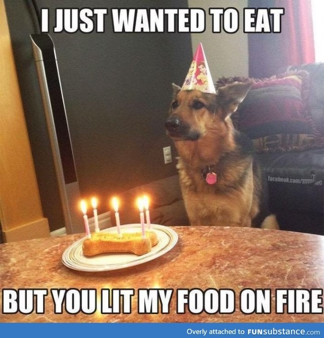 Poor fido