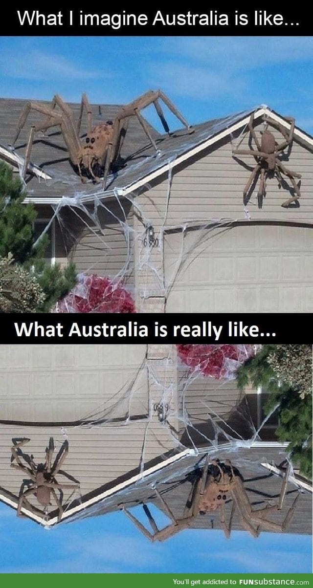 What Australia is really like
