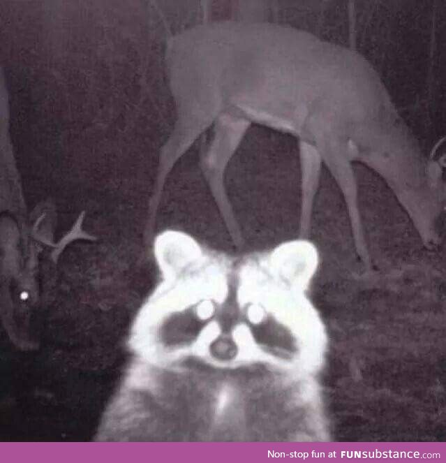 Photo bombed