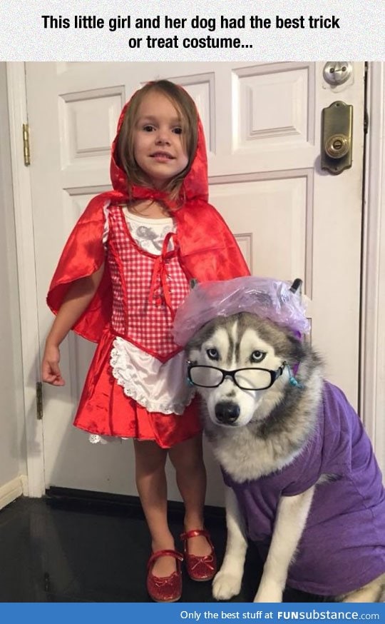the wolf