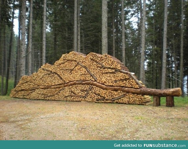Nice woodpile