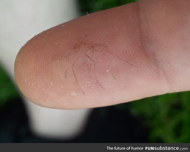 "Slapped a mosquito out of the air and got an imprint of its last moment on my finger"