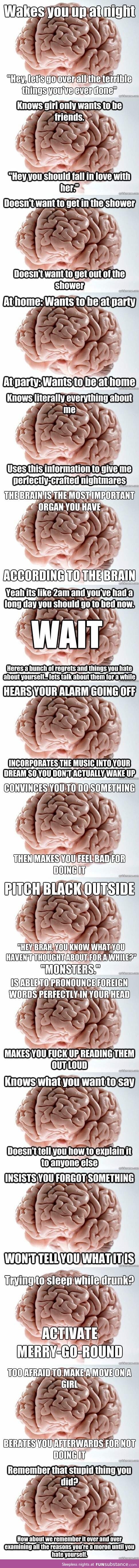 Ah, the wonderful brain