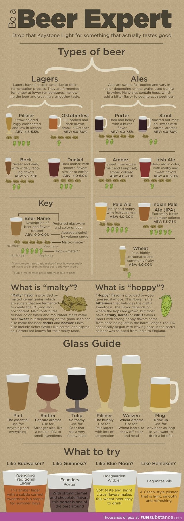 How to be a beer expert