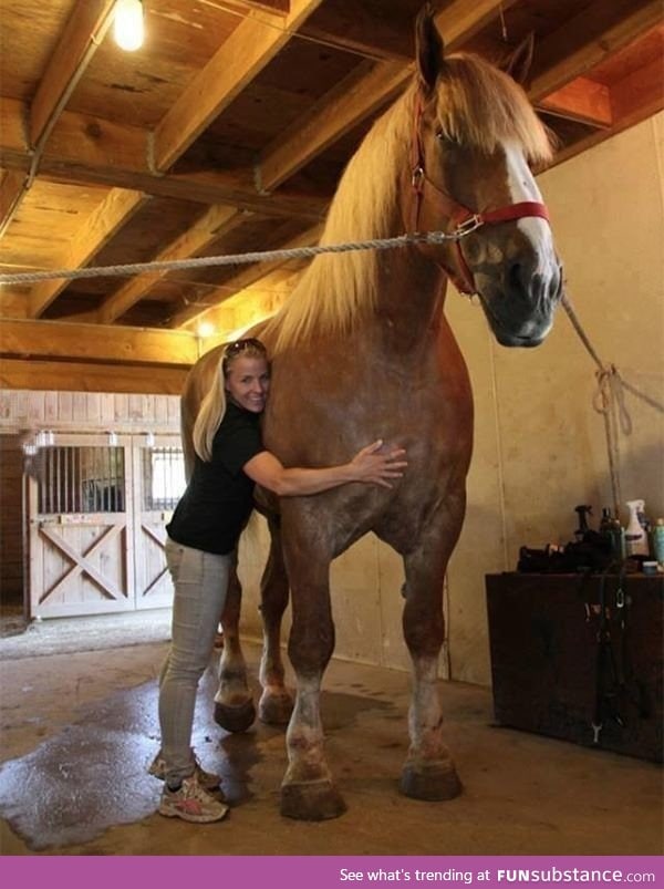 Gentle giant. Whoa!