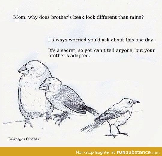He didn't even finch
