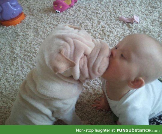 Innocent puppy kiss