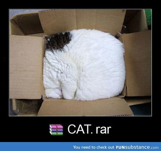 The file has been successfully compressed