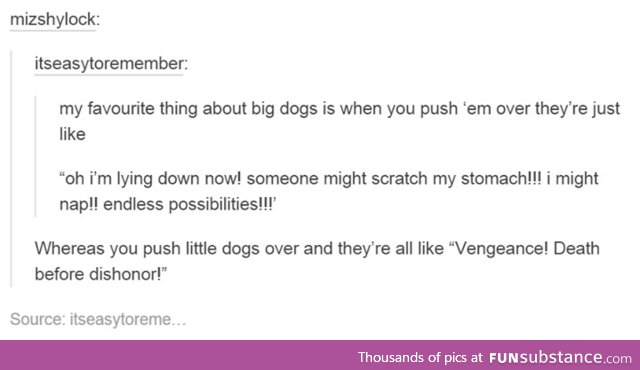 The Big Dog Thing Applies to Me Too, Actually