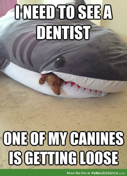 Need to see the dentist