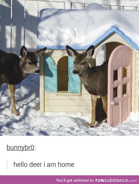 Deer-est