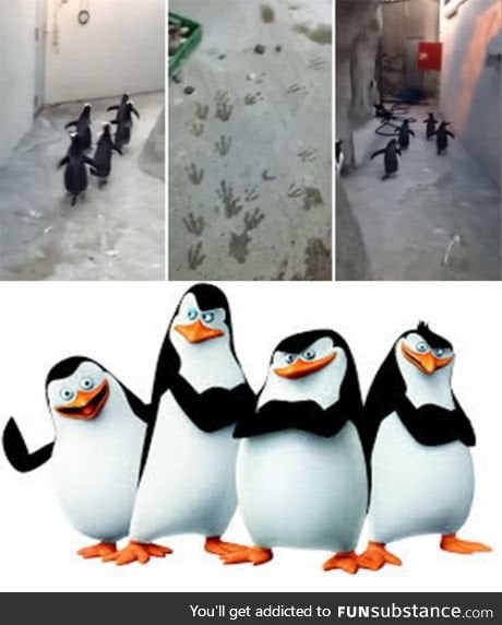 Smile and wave boys, smile and wave