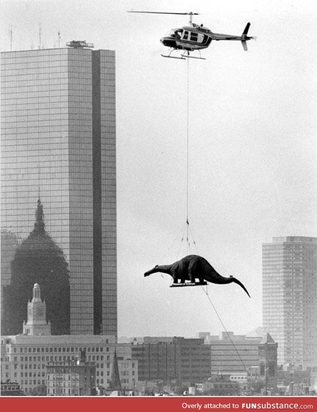 Delivering a brontosaurus to the Museum of Science in Boston (1984)