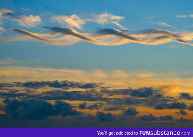 DNA Cloud