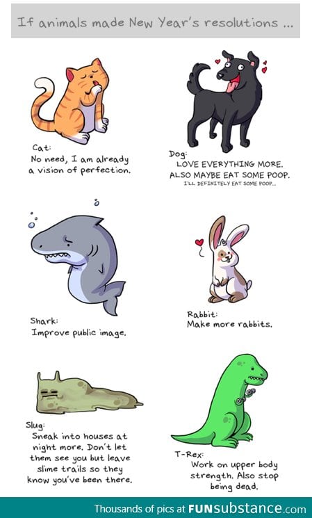 Animal's New Year's Resolutions