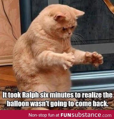 Where did my balloon go?