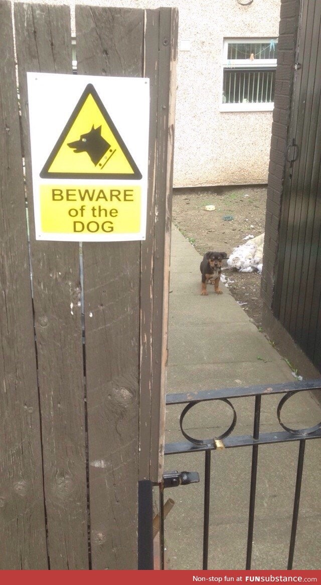 Beware of the dog