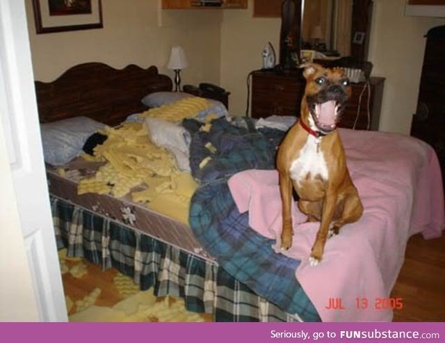 Oh, hi!   I didn't expect you home so soon.