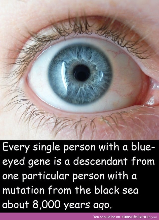 People who have blue eyes