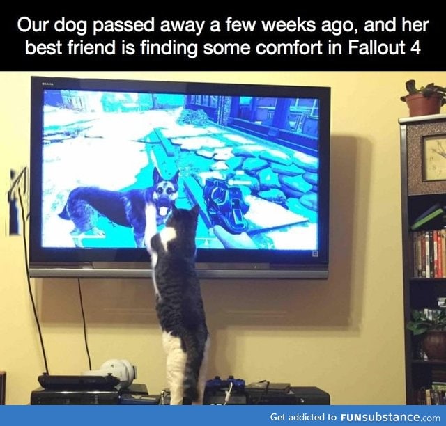 This is sad and sweet at the same time