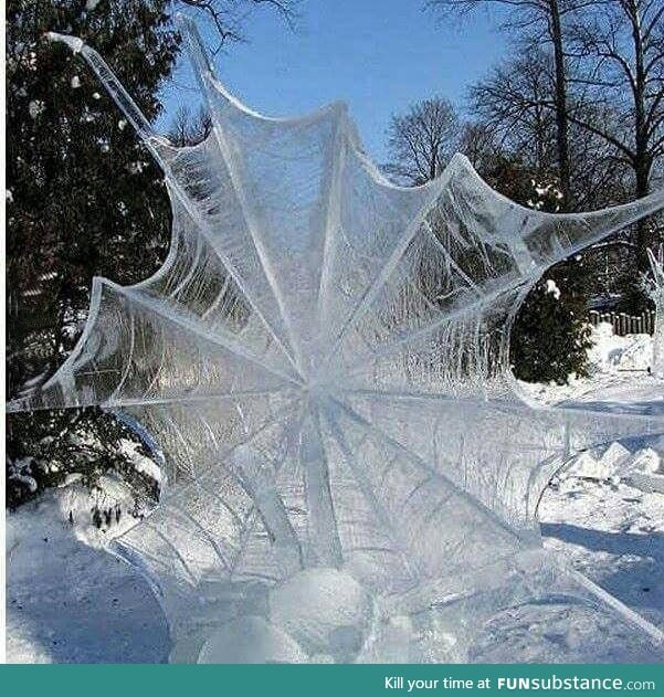 After a decent snow storm