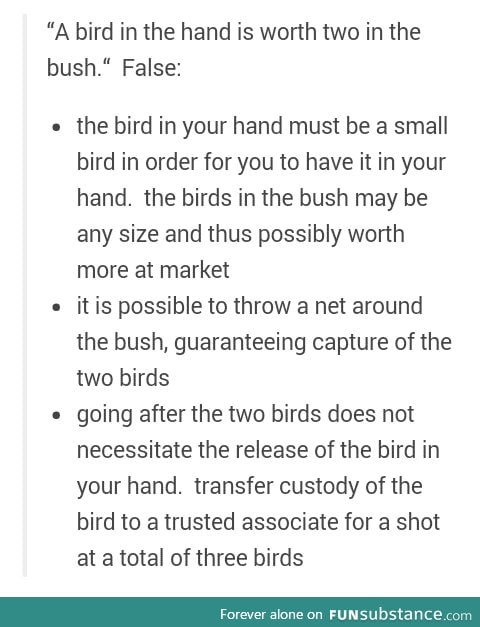 No bird no bush