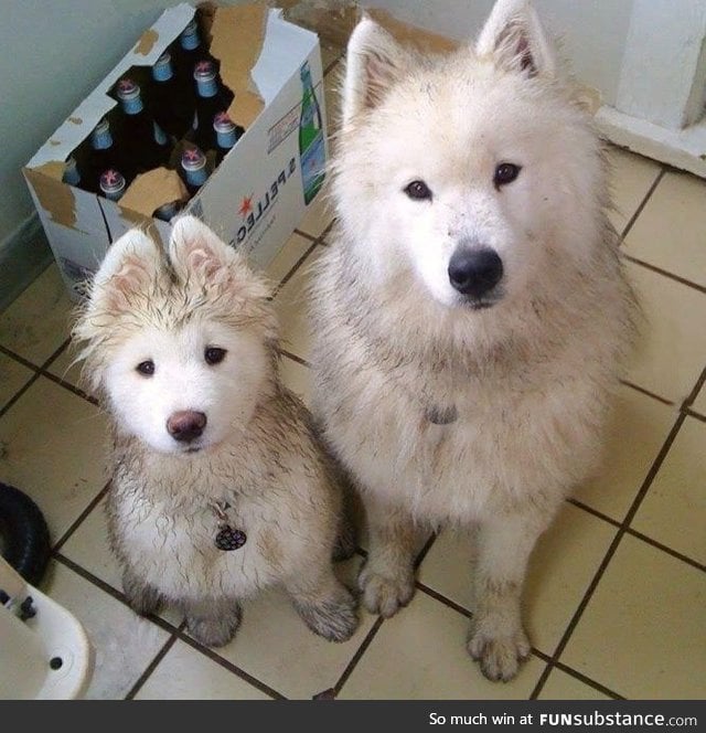 Fresh from the playground