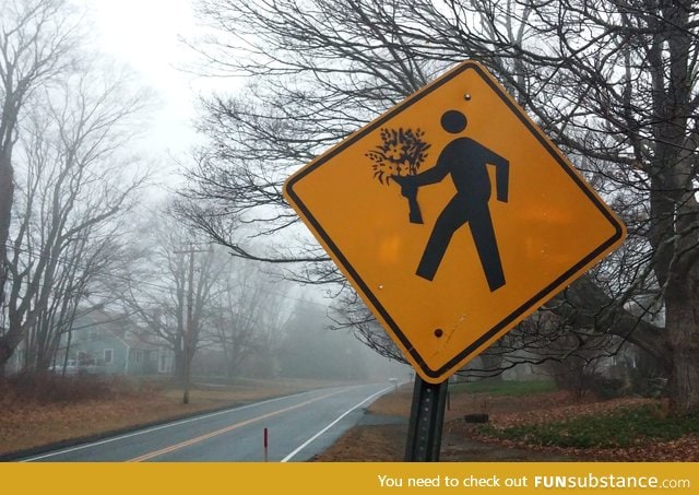 Creative Vandalism
