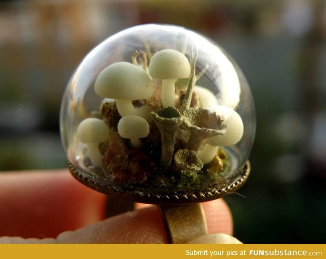 Bio-dome