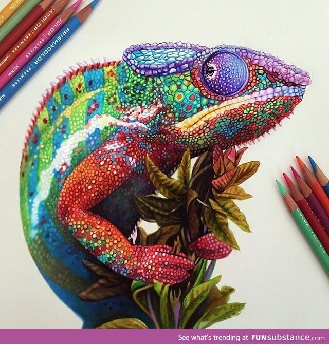 Amazing colored pencil chameleon