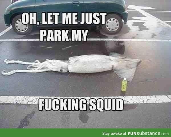 Parking my squid