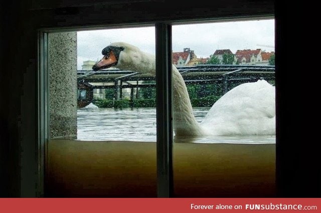 So there's been a bit of rain in Ireland recently