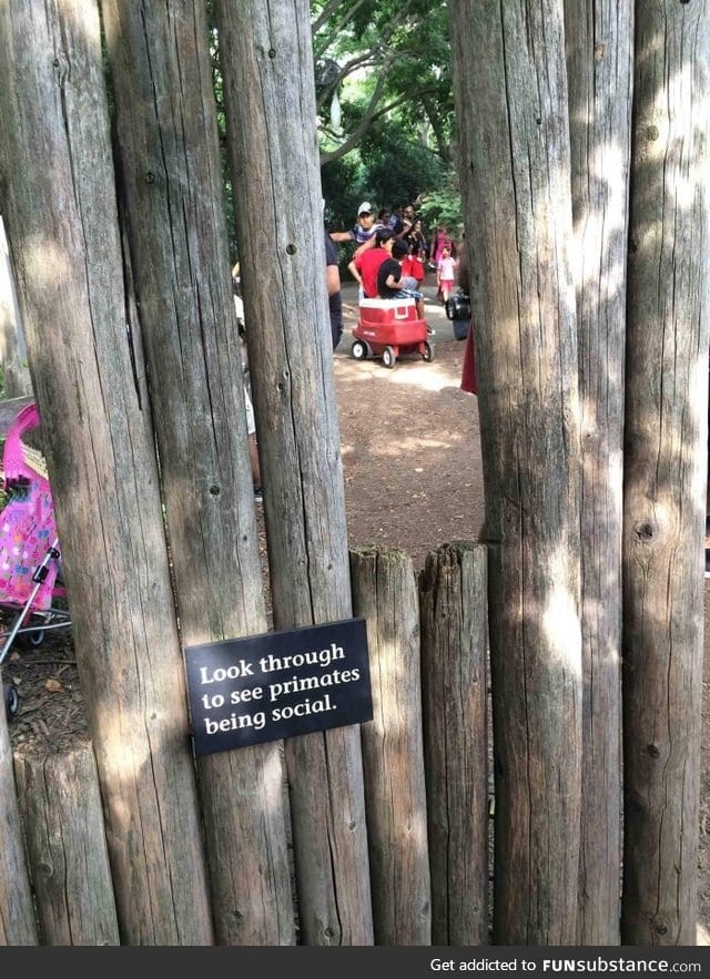 LOL