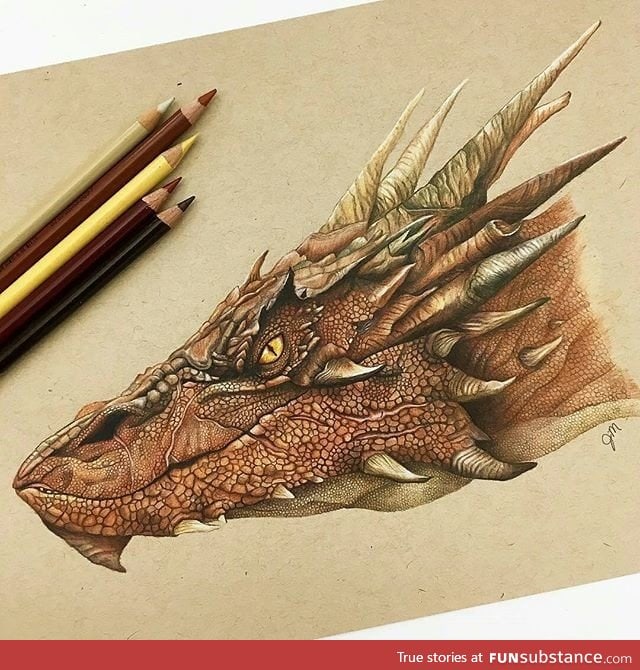 Intricate dragon pencil drawing