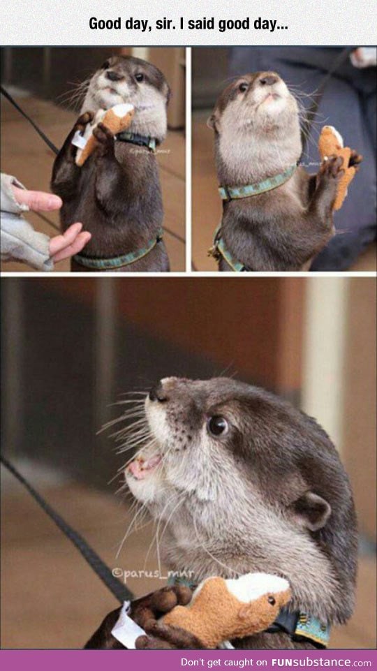 You may not take away my stuffed animal