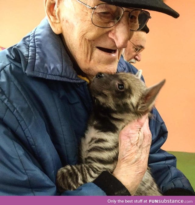 Day 427 of your daily dose of cute: Happly old people with animals melt my heart