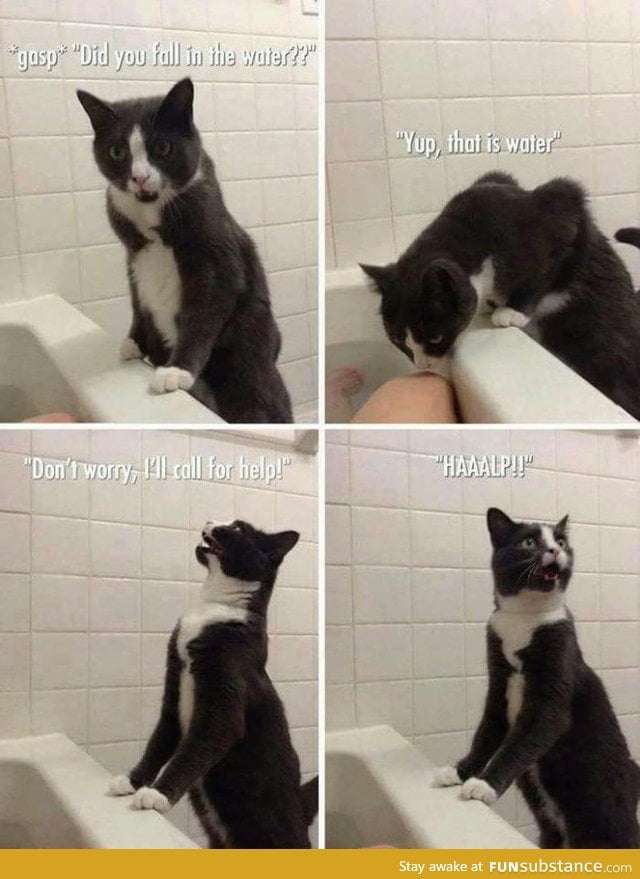 ...Halp!