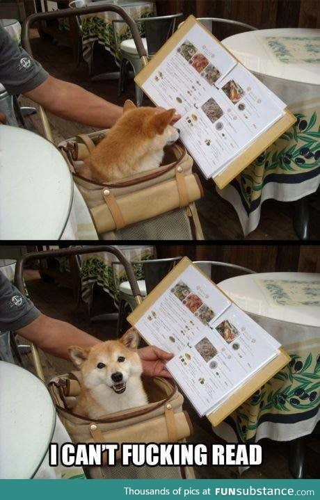I laugh every. Single. Time