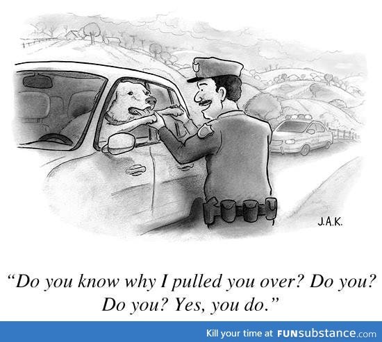 Do you know why I pulled you over? - Dog Edition