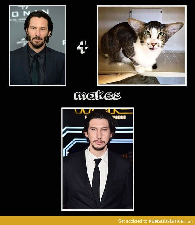 Keanu + Cat makes