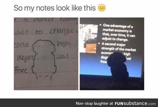 Taking notes