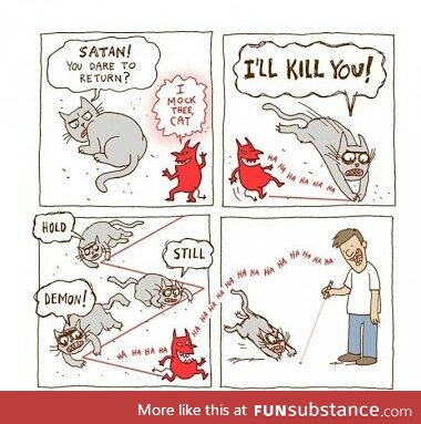How cats see it
