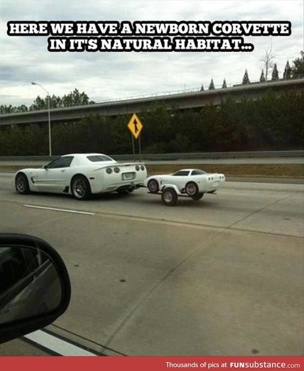 A rare and touching sight