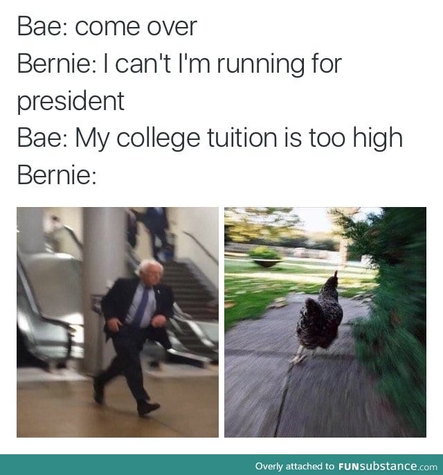 Bernie FTW!